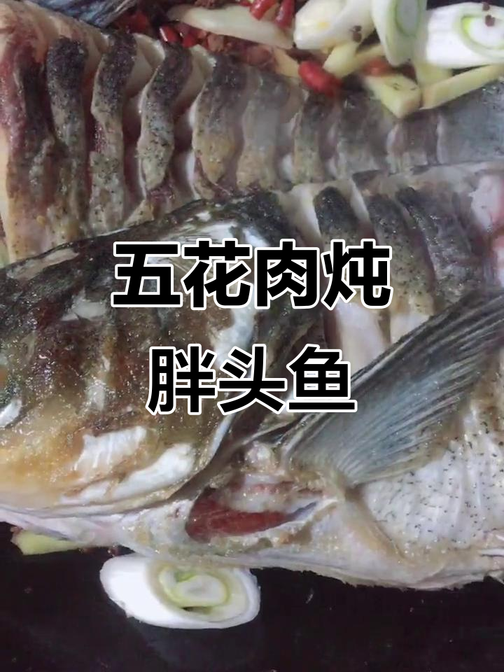 铁锅炖胖头鱼,五花肉料酒去腥,味道超赞
