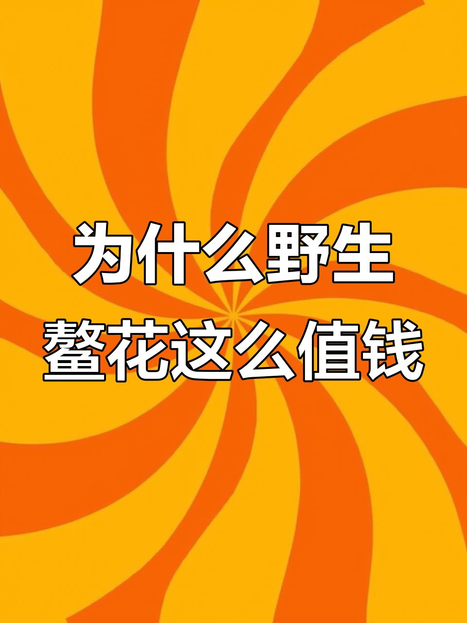 野生螯花鱼为何如此昂贵？黑龙江流域的珍稀美味