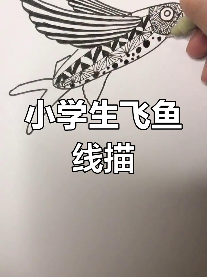 轻松学画飞鱼,适合小学生们的线描技巧