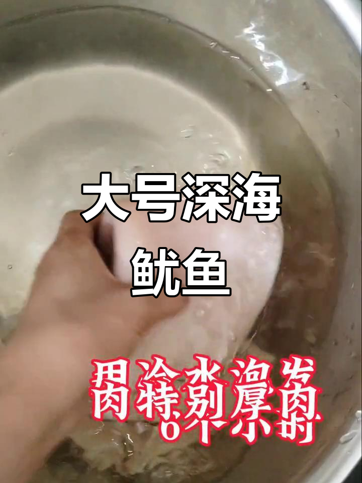 深海大鱿鱼,超大号的秘密美味