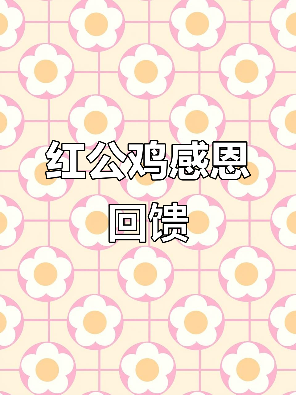 感谢大家支持,红公鸡与核桃哥的故事