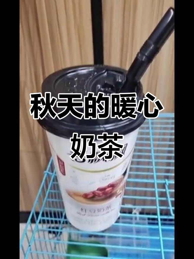 秋天第一杯奶茶,温暖的不只是味觉