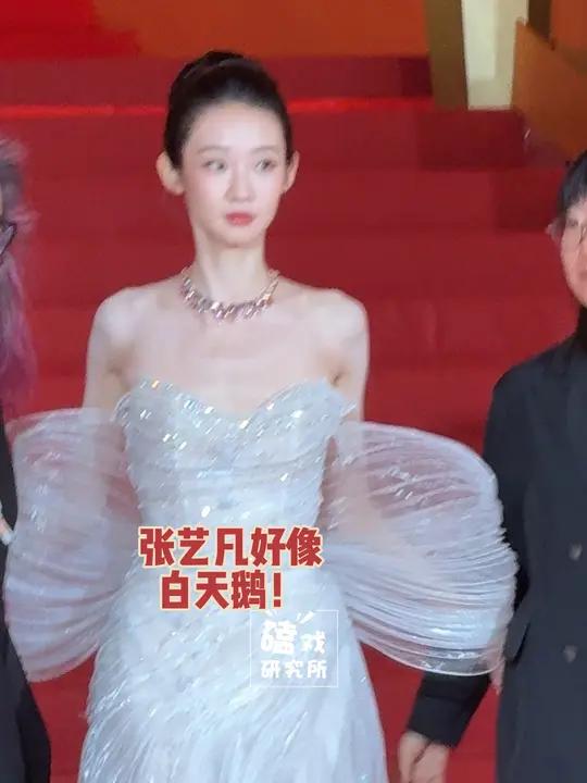 张艺凡好像白天鹅!