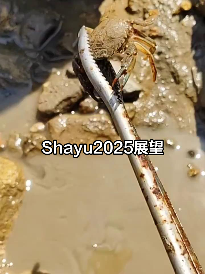 2025年Shayu展望:未来科技与创新的无限可能