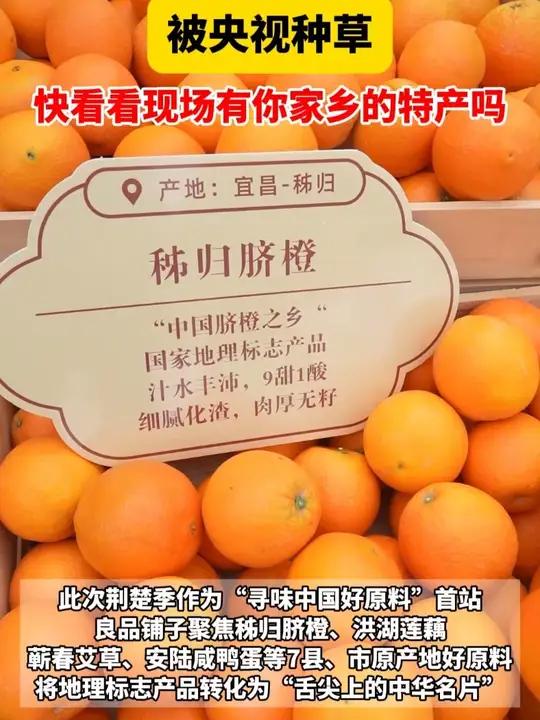 良品铺子携湖北特色农产品,被央视种草!