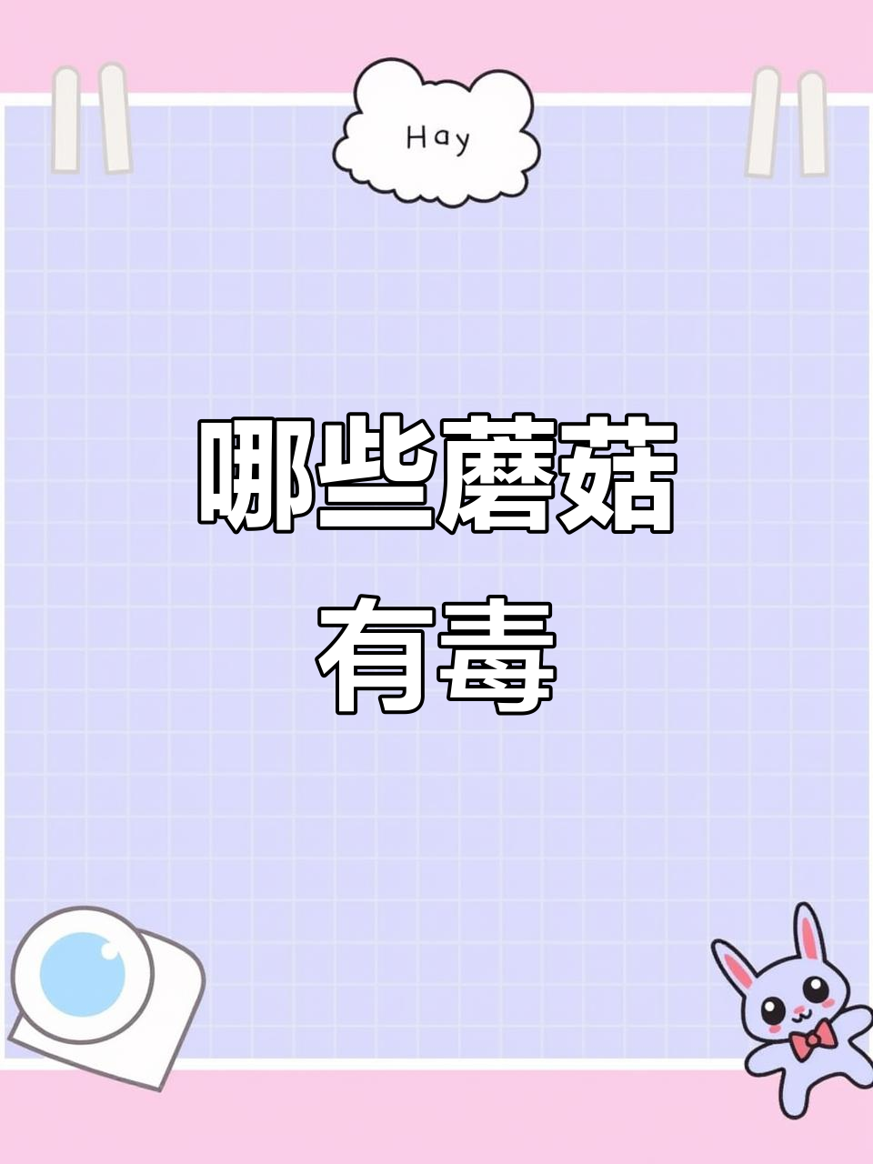 这些蘑菇能吃吗?有些剧毒,有些美味!