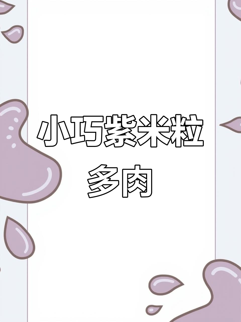 紫米粒多肉植物,小巧玲珑超可爱,适合家中有小孩的养护