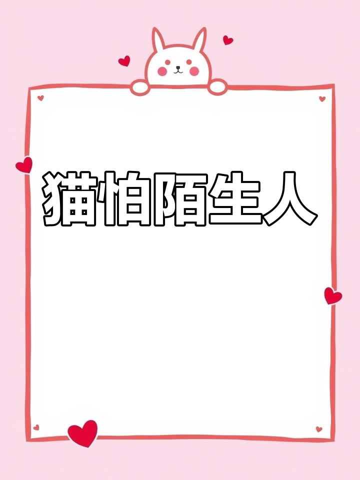 楼梯大理石材质更显高端