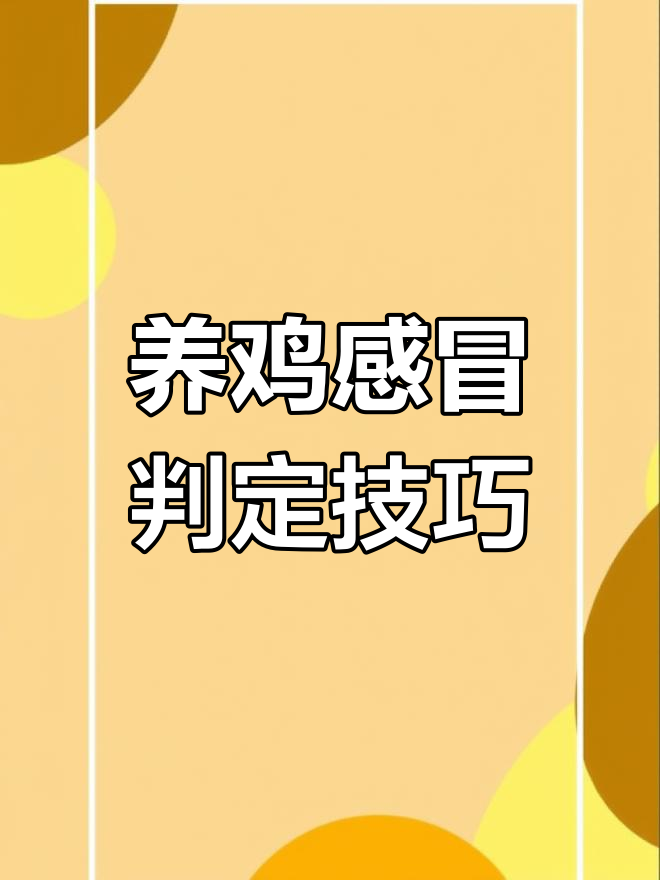 雷老师教你判断鸡感冒症状,如何应对气囊炎和支气管堵塞