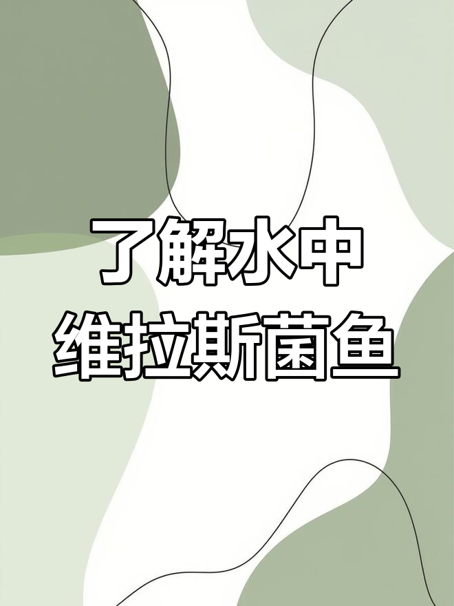 军鱼:淡水之王的力量与美丽,钓鱼界的顶流