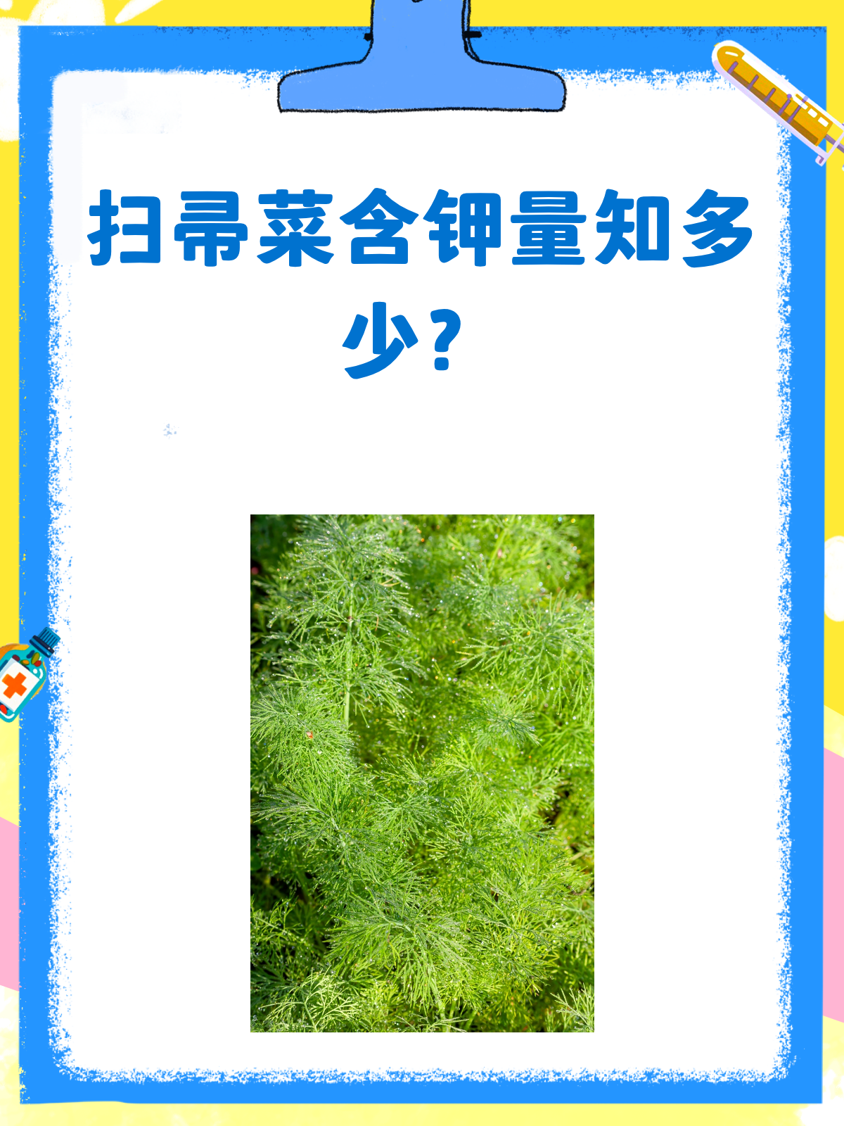 扫帚菜含钾知多少?营养小知识来啦!