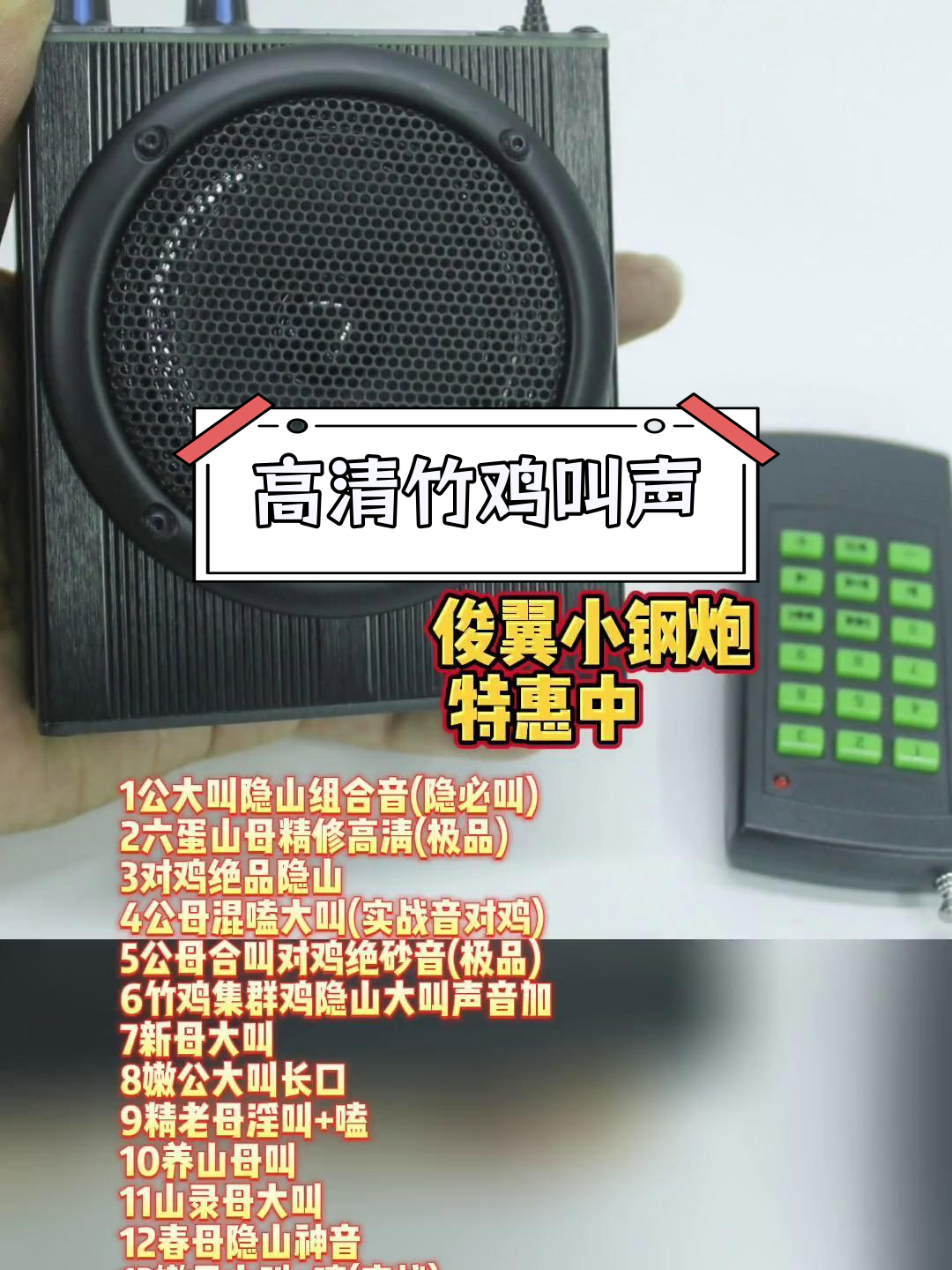 竹鸡与山鸟的和谐之声,户外自然音响实录