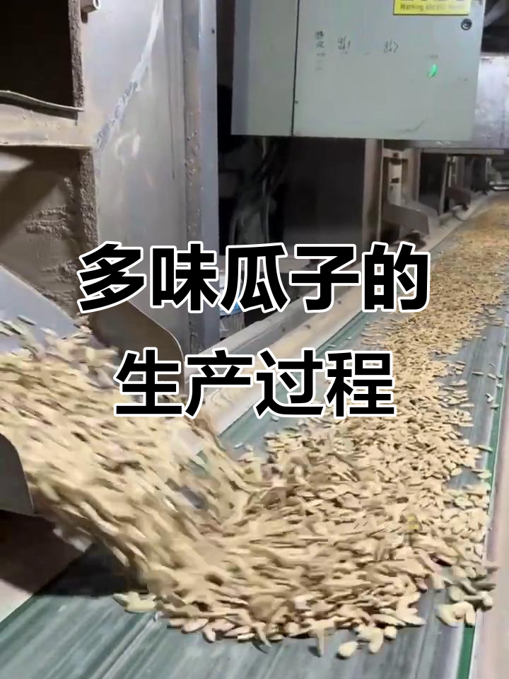 瓜子制作全过程揭秘：从煮沸到炒干，严选优质产品
