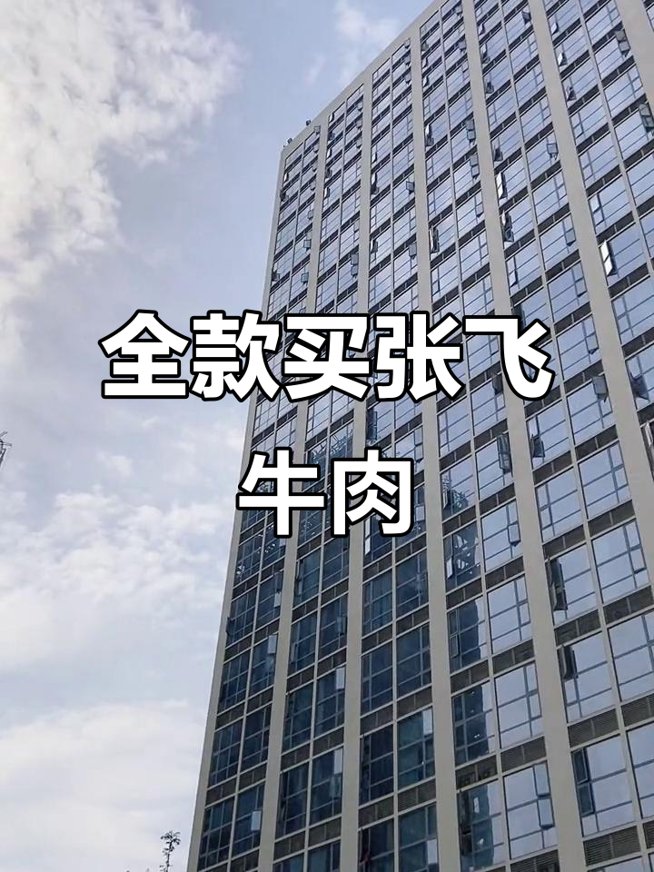 25岁全款买张飞牛肉,未来可期!四川特产让人惊艳