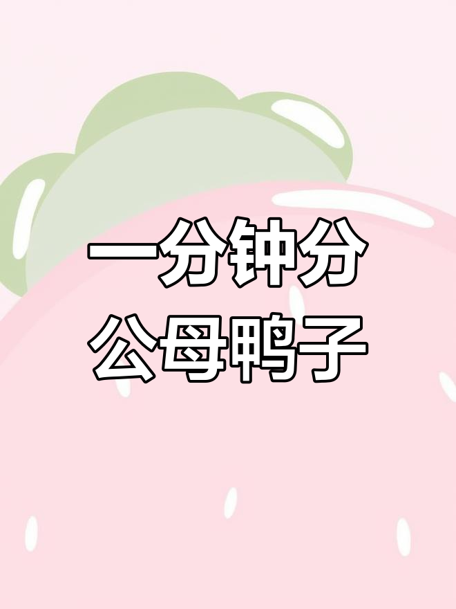 公母鸭分辨技巧,一分钟搞定!