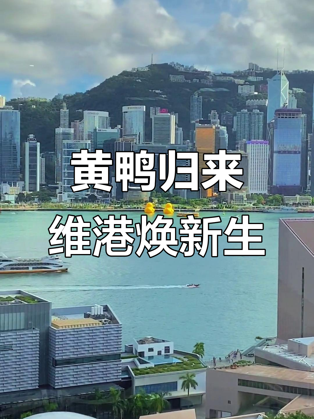 大黄鸭回归维多利亚港，香港再添新活力