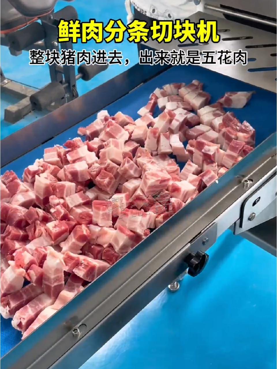整个猪肉进去,出来就是五花肉 肉类加工设备 鲜肉分条机 鲜肉分条切块机 鲜肉切块机 切肉机