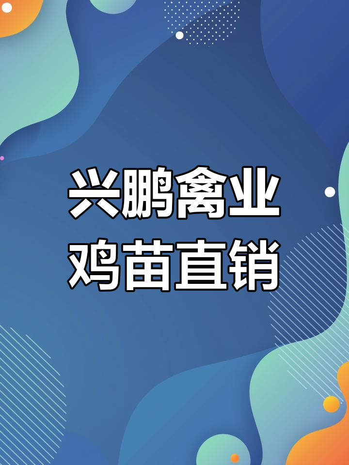 广州兴鹏禽业鸡苗批发,直供土鸡竹丝鸡