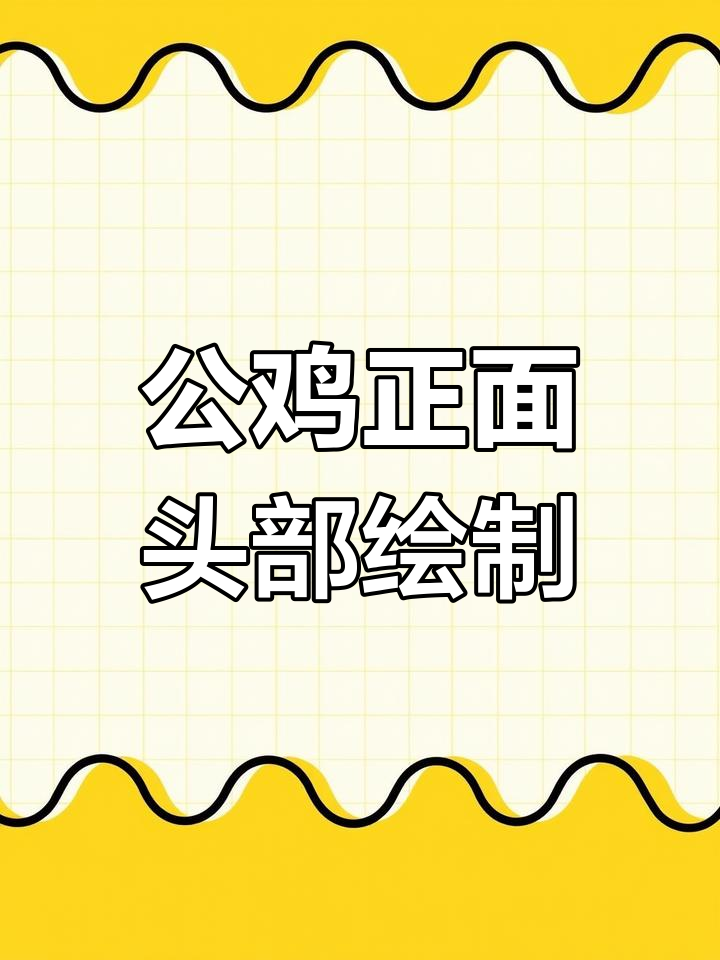 公鸡头部画法技巧,轻松掌握羽毛与爪子的细节
