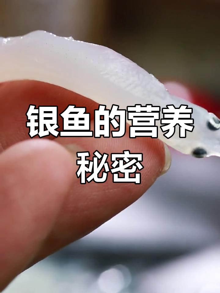 银鱼富含钙与蛋白,孩子常吃助力成长,营养价值堪比人参