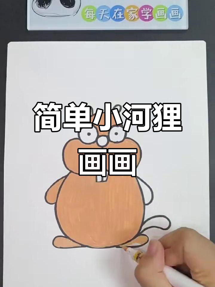 小河狸简笔画,轻松学会画可爱动物