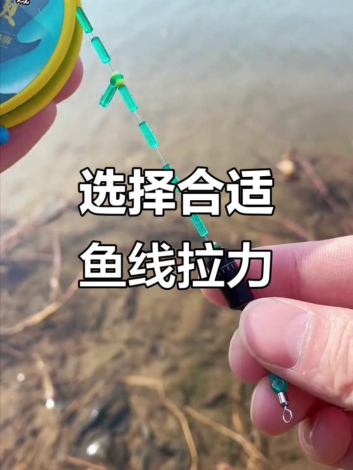 鱼线拉力如何选择?从零点八到三点零完美搭配