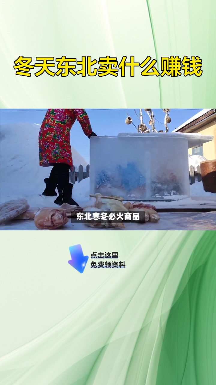 冬天东北卖什么赚钱