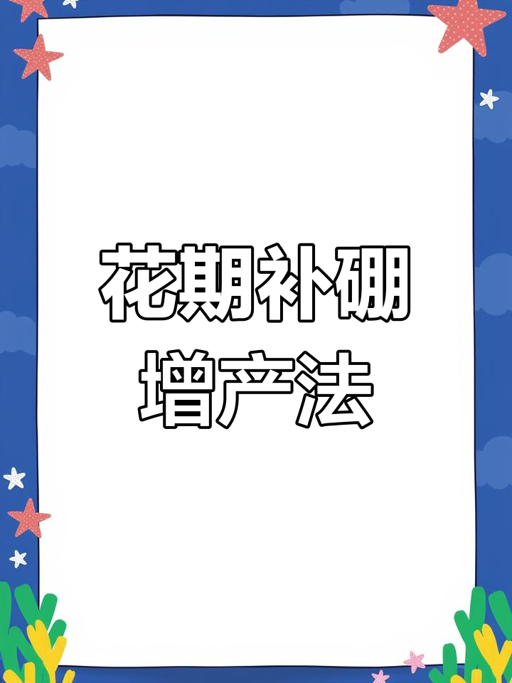 油菜花期喷硼肥,增产三成有妙招