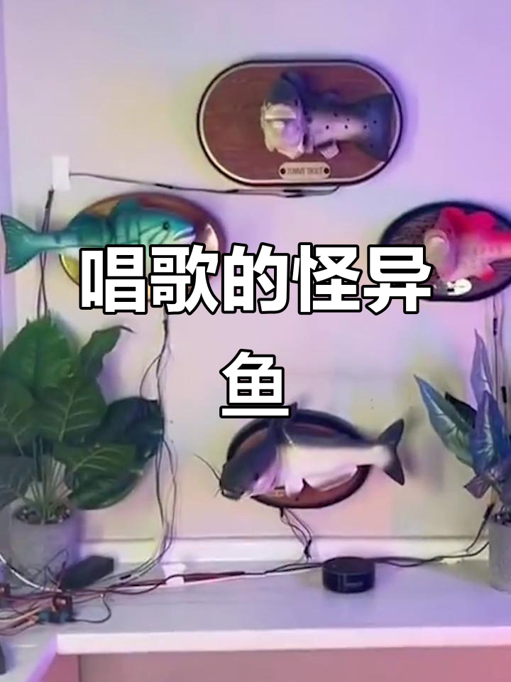这只鱼竟然会唱歌,难道是海绵宝宝里的那条?