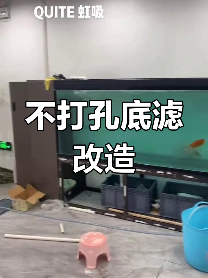 2.6米鱼缸不打孔底滤改造,双路虹吸系统详解
