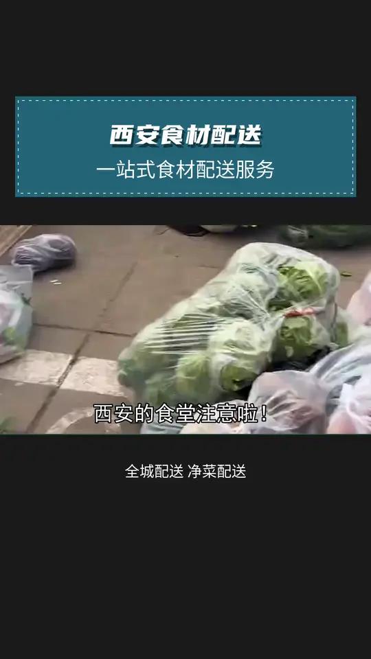 蔬菜种类繁多，时令上市，确保食材新鲜又应季。