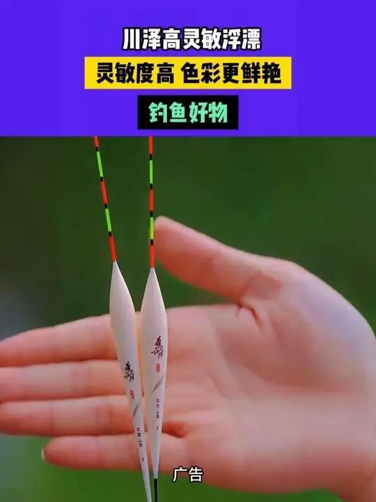 这才是真正的高灵敏浮漂!加粗清晰醒目高灵敏浮漂钓鱼渔具综合漂0104B