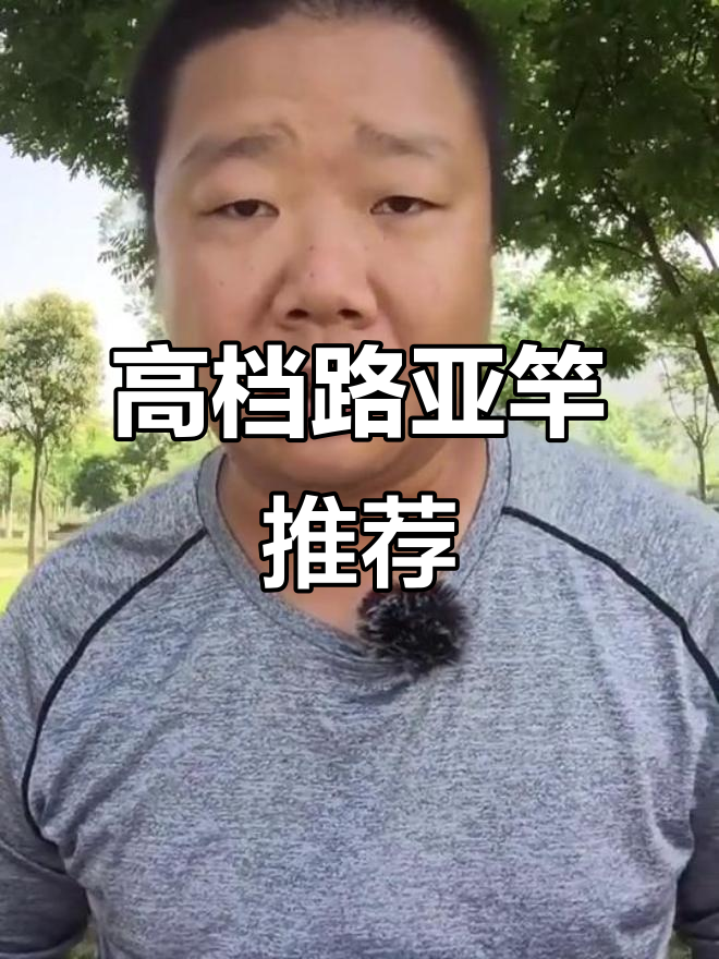 禧玛诺路亚竿高级款选择指南,精细钓与大鱼必备