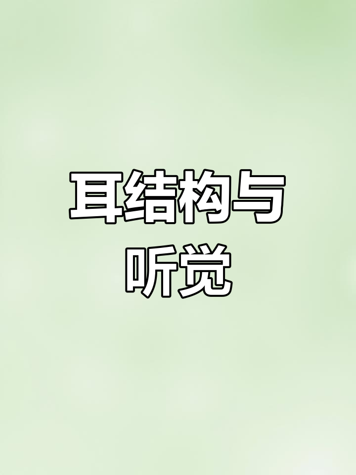 初中生物实验:耳的结构与听觉原理