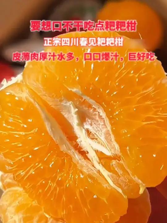 爆甜多汁的春见耙耙柑～个大饱满圆润,果肉晶莹剔透,颗颗爆汁!皮薄肉厚,很好剥皮,一口下去爆