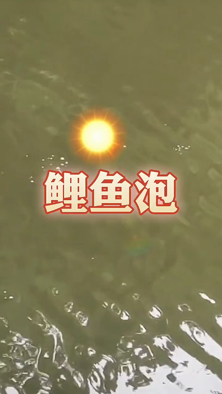 鲤鱼泡泡