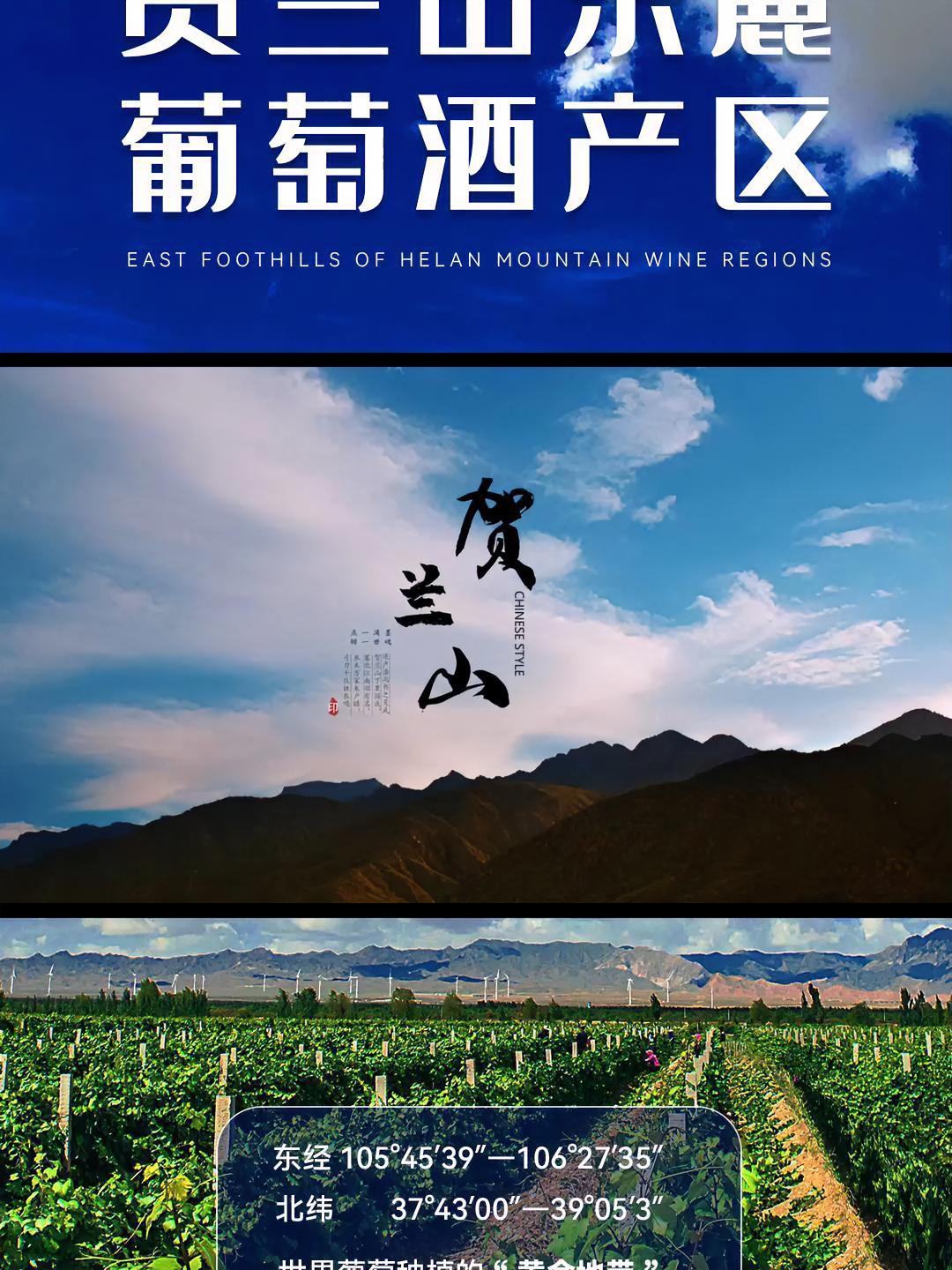 当提及宁夏贺兰山东麓,很多人可能会立刻想到美丽的草原、丰富的矿产和悠久的历史。然而,今天我