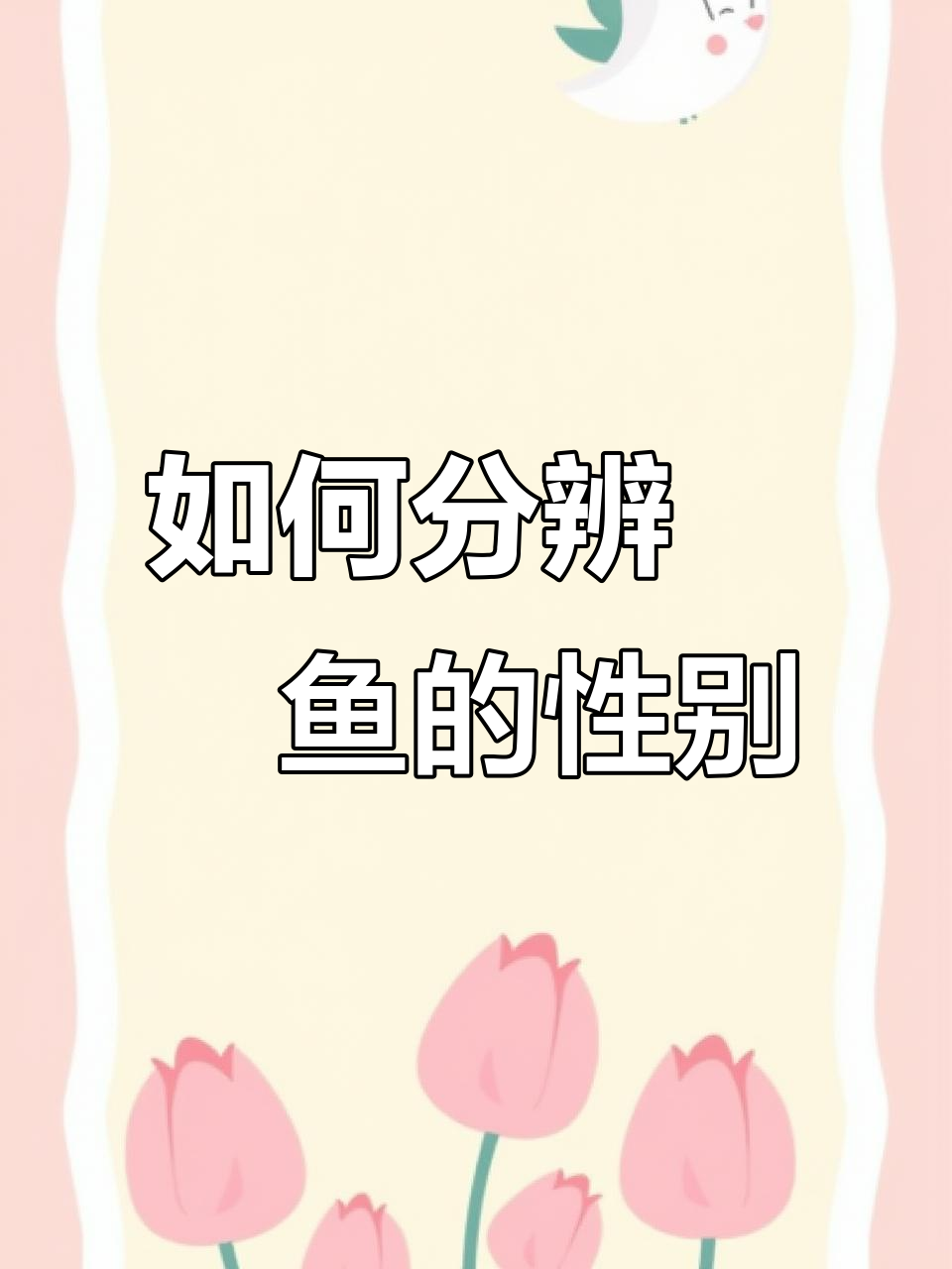 人工繁殖鳑鲏鱼:如何区分公母与判断成熟度