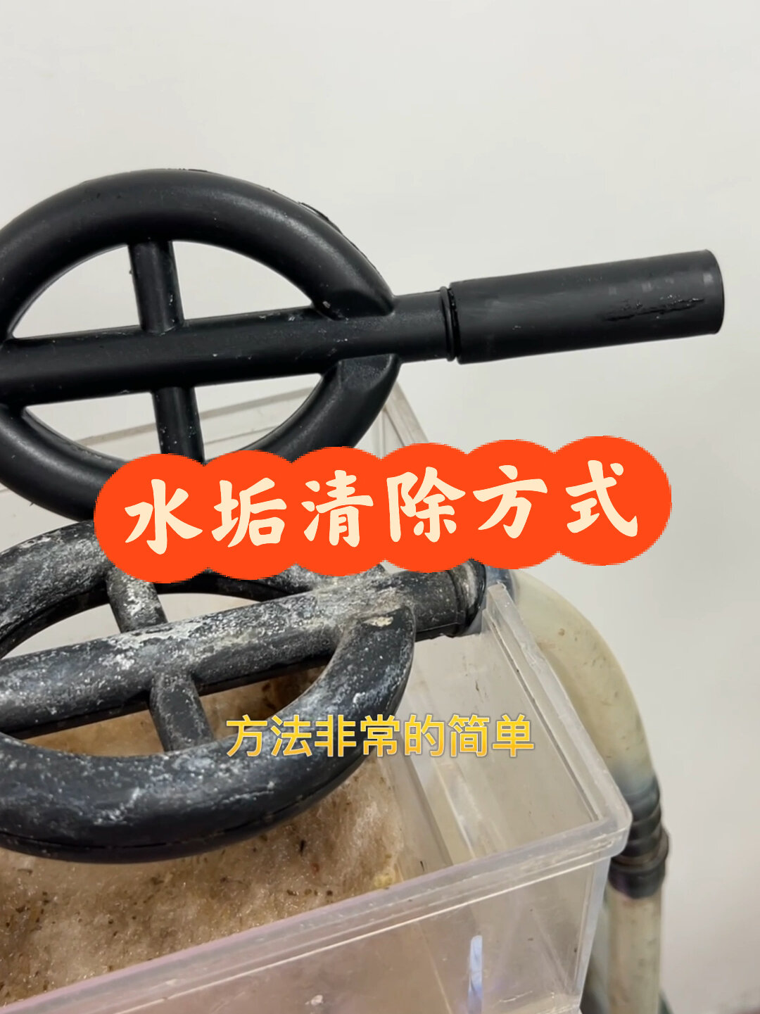 鱼缸水垢清洗办法