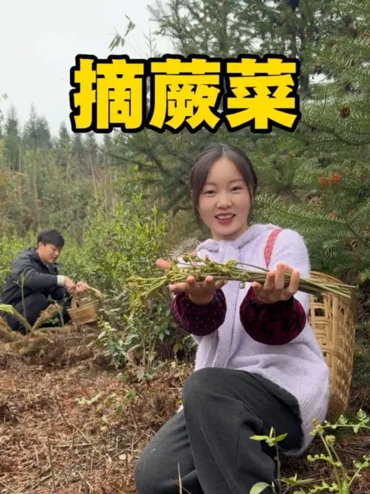 美丽的春天总是赋予我们无限的美味,和成意来山里摘了好多蕨菜,这道菜我从小吃到大,怎么做都好
