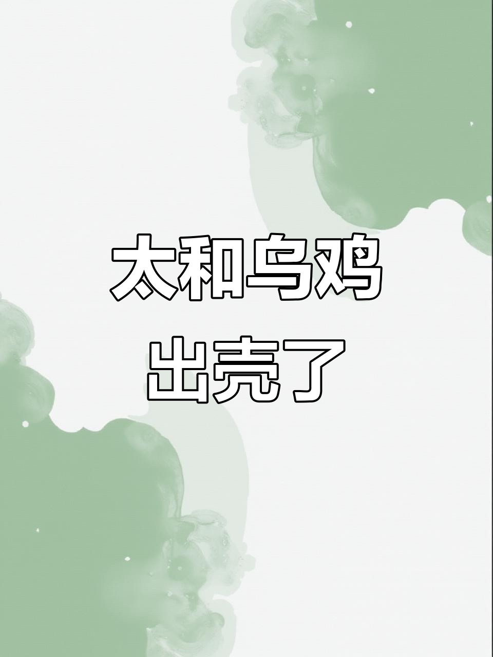 泰和乌鸡独生子诞生,毛茸茸超可爱
