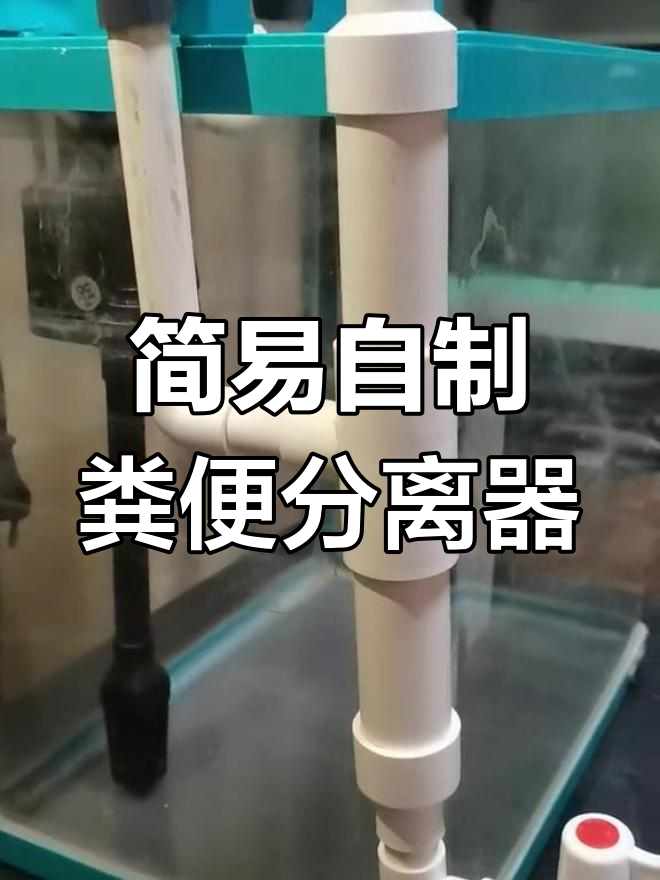 自制鱼马桶粪便分离器,轻松解决过滤槽负担