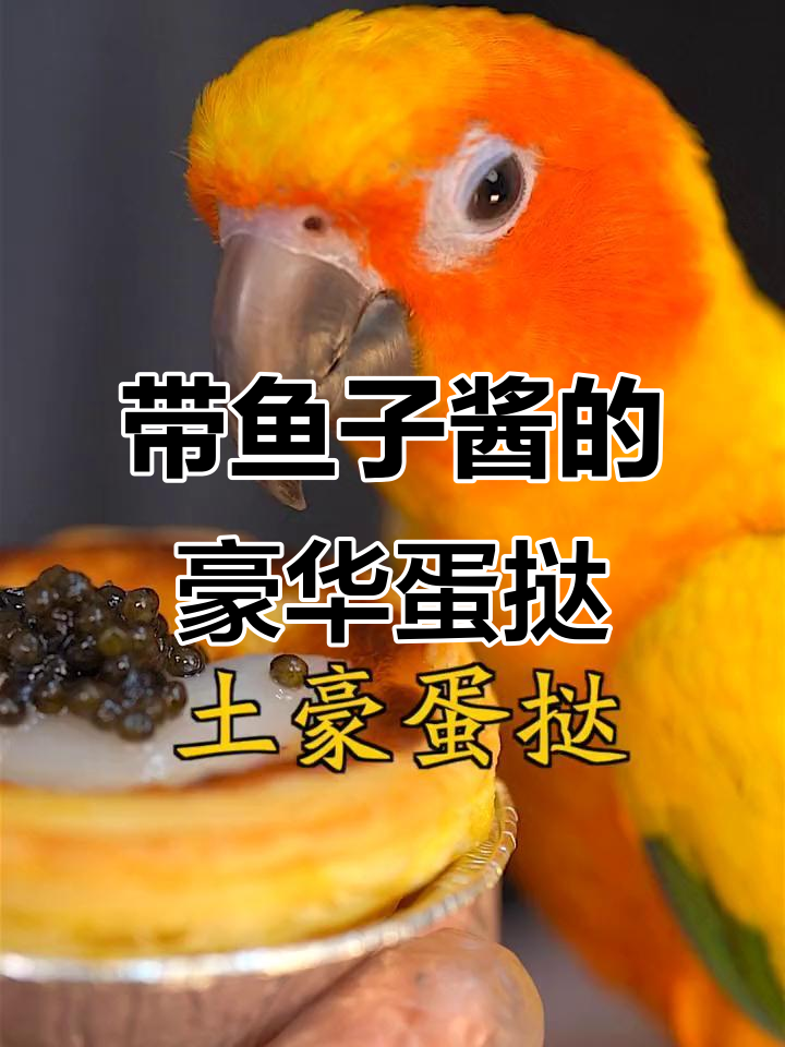 鱼子酱蛋挞,奢华新风味!