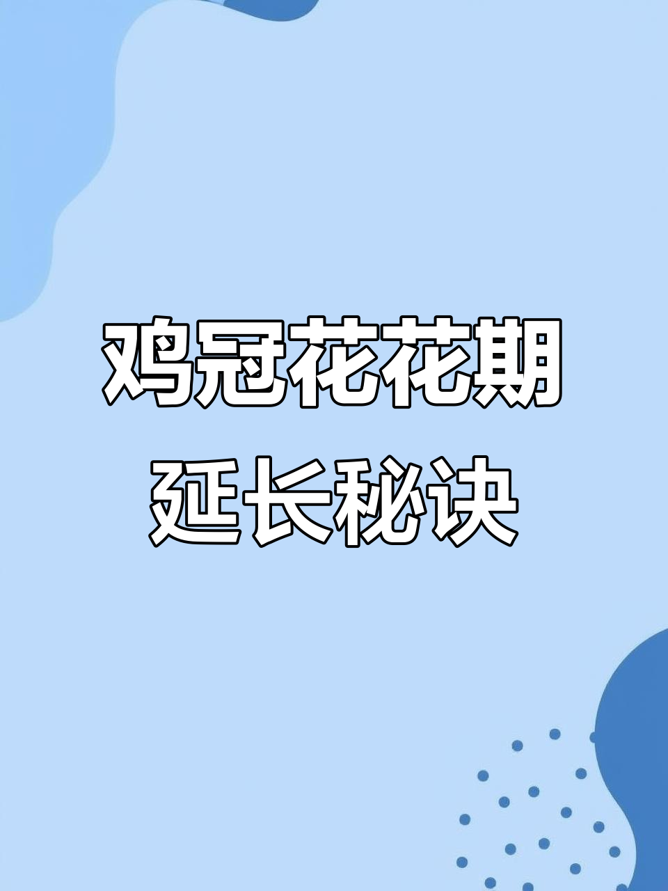 鸡冠花种植技巧:如何让花期更长,生长更旺盛
