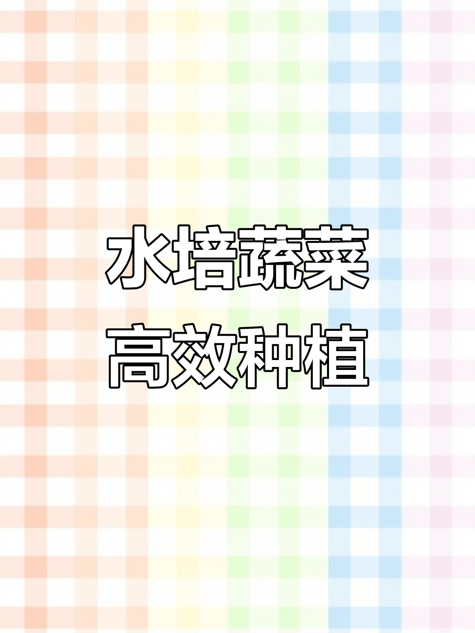 无土栽培水培蔬菜,垂直农场高效种植技术分享