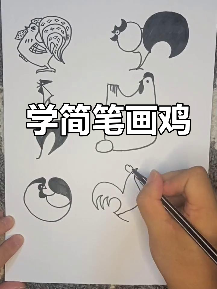 轻松学画鸡,简单又有趣