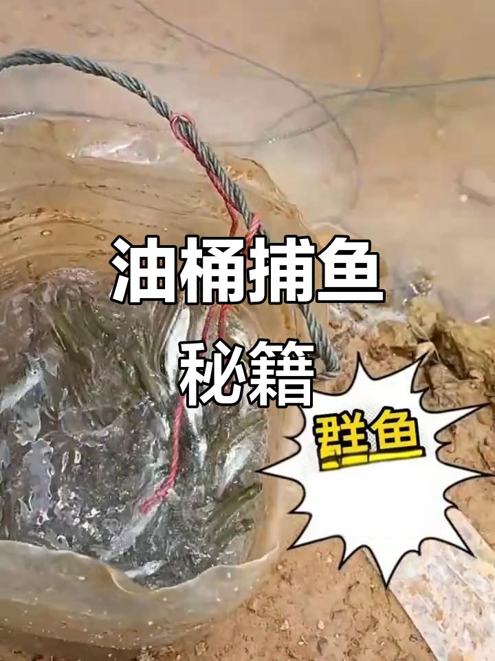 零成本捕鱼妙招,油桶变神器,轻松一试!