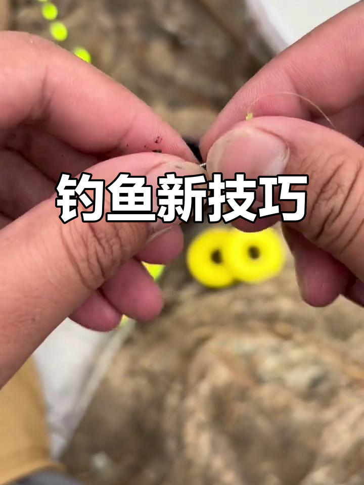 五一钓虾有诀窍,踩点先行,避免常见误区,轻松上手!