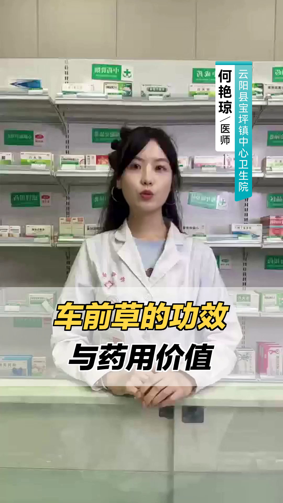 车前草的功效与药用价值