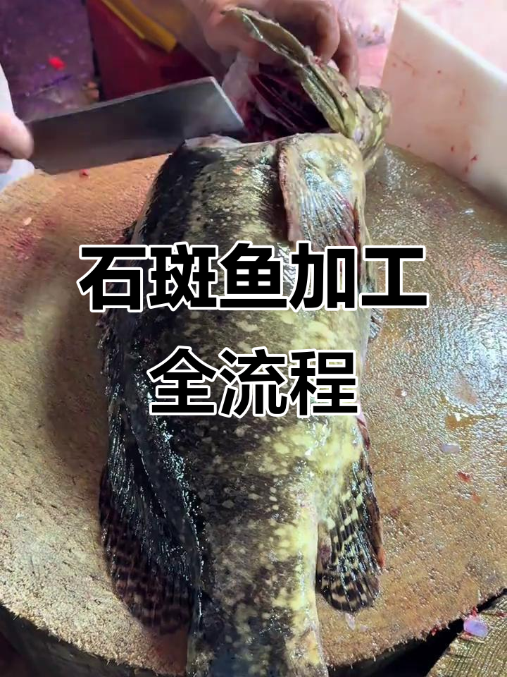 珍珠龙胆石斑鱼分解全过程,潮汕海鲜制作大揭秘